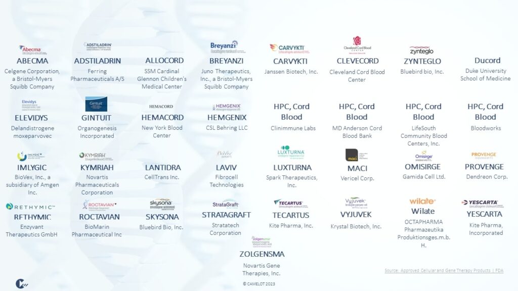 Figure 1 Industry Overview Cell and Gene Therapies