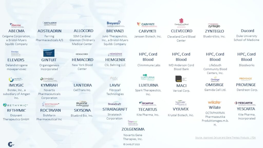 Figure 1 Industry Overview Cell and Gene Therapies